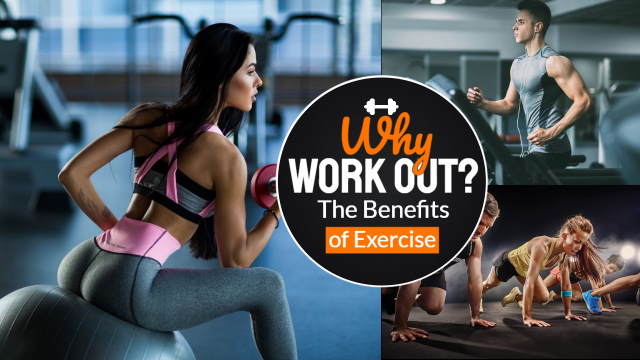 This is the: "Why work out thumbnail".