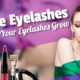 Image is the feature image which illustrates the article about "Adele Eyelashes false and fake".