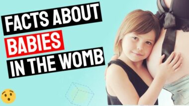 Image shows Facts about babies in the womb