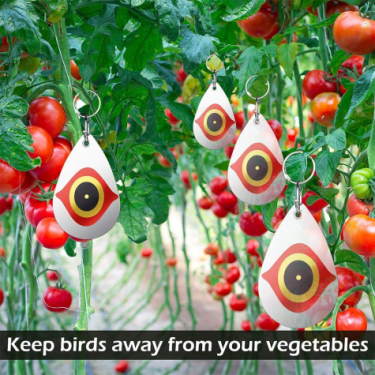 Bird diverter (reflective bird deterrent) in use protecting vegetables.