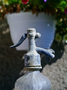 An image of an old soda siphon or siphoid.