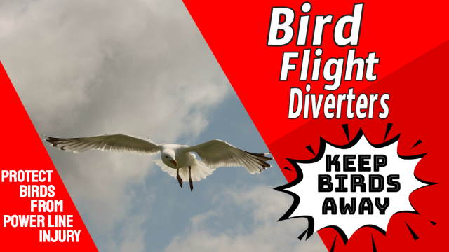 Bird flight diversion is kind to birds.