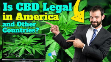 Is CDB legal in the US?