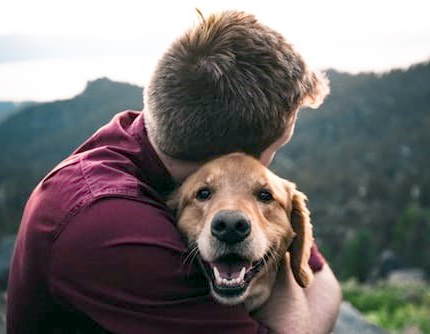 Image shows a man hugging a contented looking dog which is evidence of the benefits of talking about CBD oil for your pets.