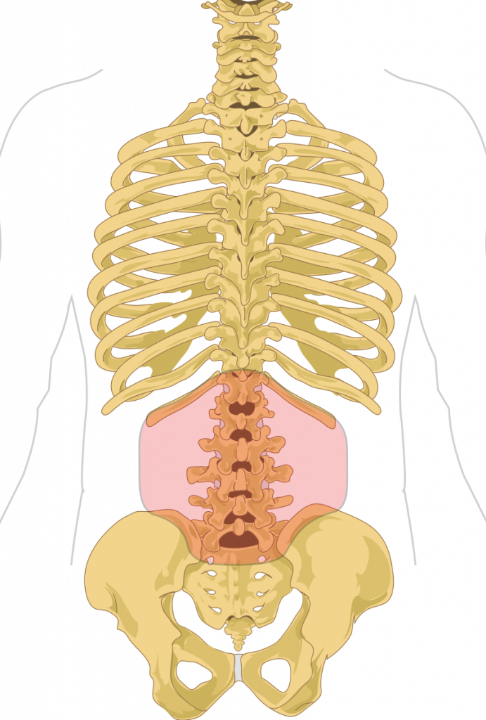 Low back pain is a common and costly complaint.