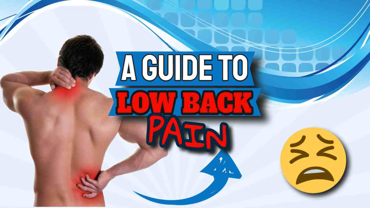 Image text: "Guide to low back pain".