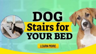 Image text: "Dog Stairs for Bed Access".