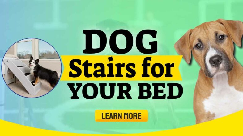 Image text: "Dog Stairs for Bed Access".