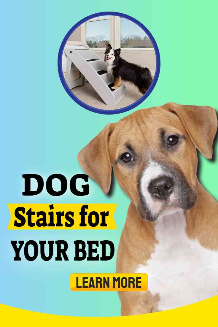 Dog stairs for bed