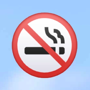 Stop Smoking Icon