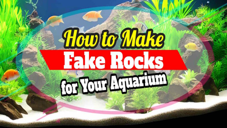 Featured image text: "How to Make Fake Rocks Aquarium Use"