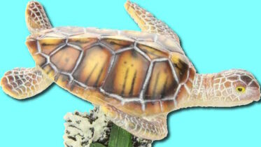 Aquarium-ornament-sea-turtle-swmming-landscape