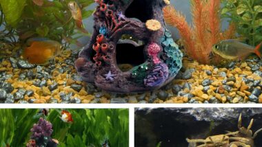 aihotim-coral-aquarium-reef-decoration-review