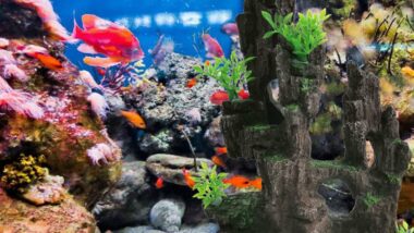 kathson-aquarium-mountain-view-stone-resin-fish-tank-decoration-review