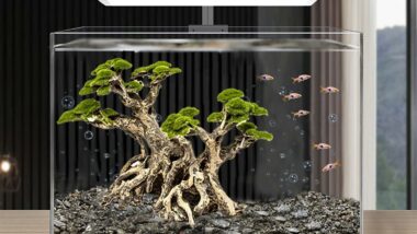 novelsite-fish-tank-decor-review