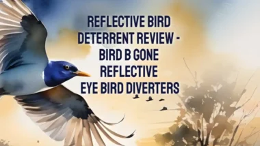 Reflective bird deterrent review featured image.