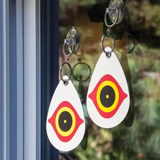 Reflective eye bird diverters on a window.