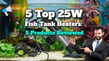 Top 5 25W fish tank heater review article featured image.